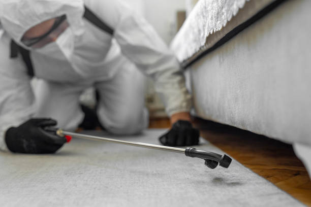 Professional Termite Control technician working in Parker, TX