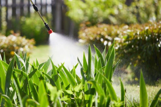 24/7 Emergency Termite Control experts in Parker, TX