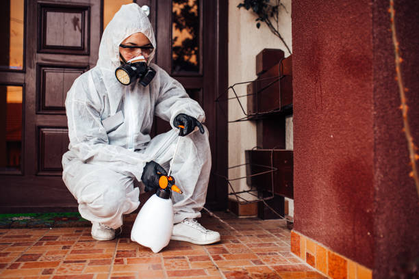 Reliable Termite Control contractor in Parker, TX by Nex Pest Control