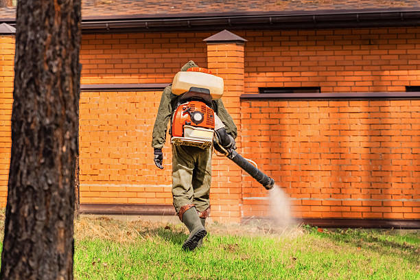 Top rated local Termite Control specialists in Parker, TX